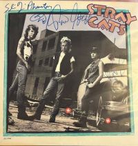 Stray Cats