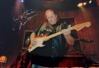 Walter Trout